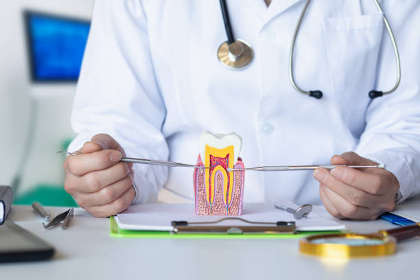 Best Pediatric Emergency Dentist in Wauseon, OH